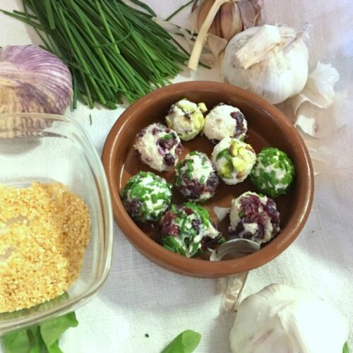semi-sec,fromage frais de soja
