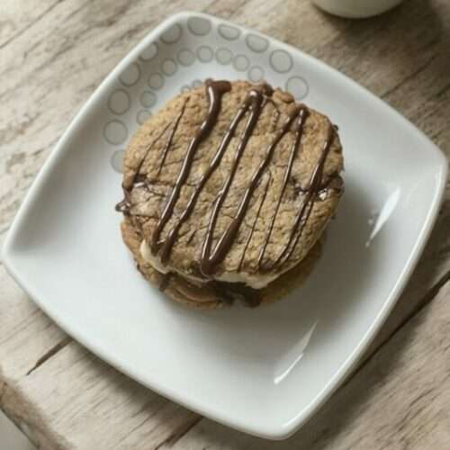 Sandwich cookie vegan